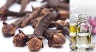 Clove Bud (Essential Oil)