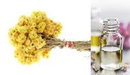 Helichrysum (Essential Oil)