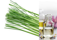 Lemongrass (Essential Oil)