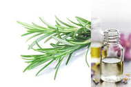 Rosemary (Essential Oil)