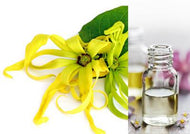 Ylang Ylang (Essential Oil)