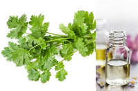 Coriander (Essential Oil)
