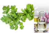 Coriander (Essential Oil)