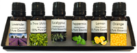 Essential Oils, 6 Pack