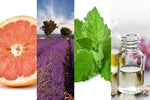 Essential Oils, Allergy Pack