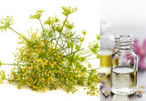 Fennel Sweet (Essential Oil)