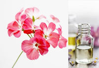 Geranium (Essential Oil)