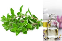 Marjoram (Essential Oil)
