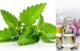 Melissa Leaf (Essential Oil) 3% Dilution