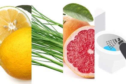 Bergamot | Lemongrass | Grapefruit (Toilet Spritz)