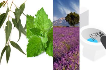 Eucalyptus | Peppermint | Lavender (Toilet Spritz)