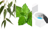 Eucalyptus | Spearmint (Toilet Spritz)