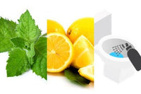 Peppermint | Lemon (Toilet Spritz)
